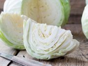 ¿Conocía los beneficios del repollo?