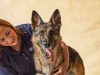 Conozca a los perros que fueron entrenados para detectar el cáncer Revista Selecciones