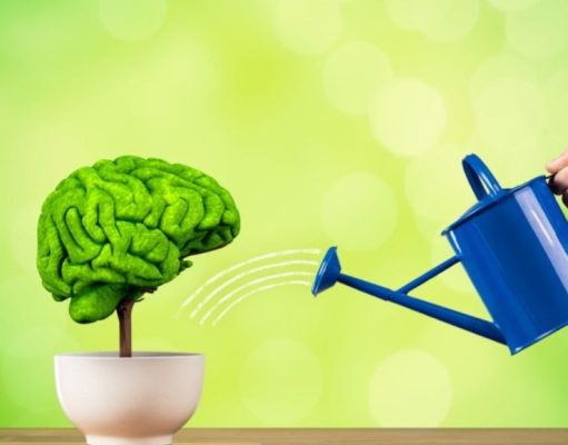 Conozca la lista de alimentos que ayudan a su memoria