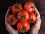 Conozca la maravillosa vida de la fruta más usada en la cocina: el tomate