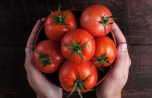 Conozca la maravillosa vida de la fruta más usada en la cocina: el tomate Revista Selecciones