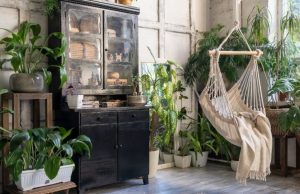 Conozca las mejores plantas para interiores Revista Selecciones