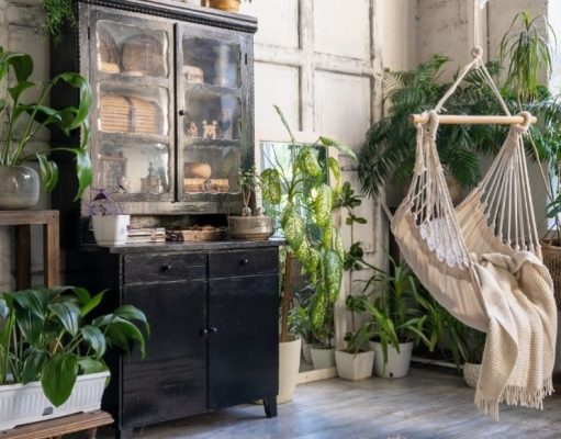 Conozca las mejores plantas para interiores