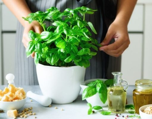 Cree su propio jardín de aromáticas comestibles