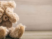 ¿Por qué los osos de peluche parecen serios?