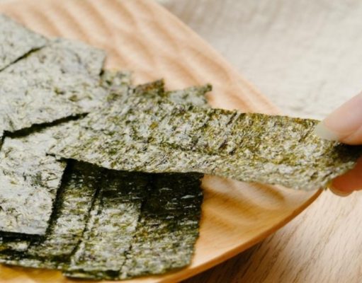 ¿Sabía usted? Conozca cuáles algas son comestibles