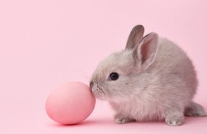 ¿Por qué comemos conejos de chocolate en Pascuas? Revista Selecciones