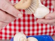 De la tierra a su plato: beneficios de comer hongos