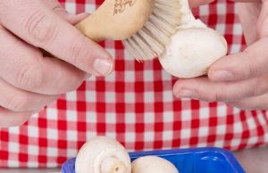 De la tierra a su plato: beneficios de comer hongos Revista Selecciones