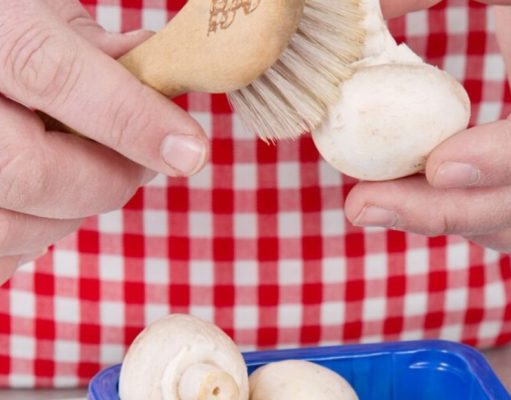 De la tierra a su plato: beneficios de comer hongos