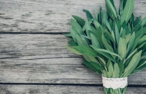 Descubra el poder medicinal de la salvia Revista Selecciones