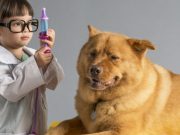 Estas mascotas juegan a elegir su profesión