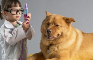 Estas mascotas juegan a elegir su profesión Revista Selecciones