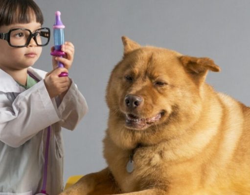 Estas mascotas juegan a elegir su profesión