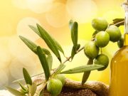 El aceite de oliva ayuda a combatir el colesterol y la hipertensión arterial