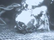 El buzo que salvó su vida milagrosamente