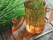 El helecho de cola de caballo es un poderoso cicatrizante