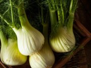 El hinojo, una planta silvestre con propiedades medicinales