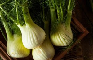 El hinojo, una planta silvestre con propiedades medicinales Revista Selecciones