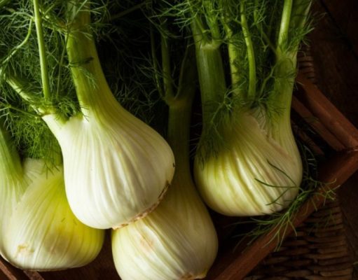 El hinojo, una planta silvestre con propiedades medicinales