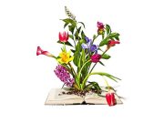 Empezar de nuevo: historias de inspiración