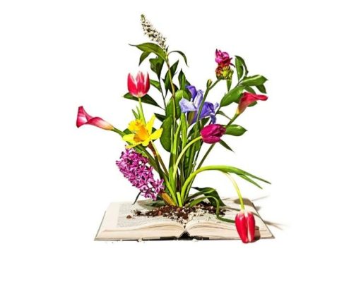 Empezar de nuevo: historias de inspiración