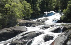 En la comarca de la isla del Jaguar Revista Selecciones