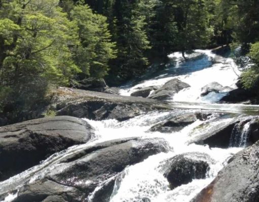 En la comarca de la isla del Jaguar