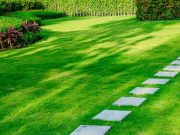 ¿Cuál es el mejor momento para plantar césped? es-la-epoca-aproveche-para-plantar-cesped-nuevo-5763-mainImage-0