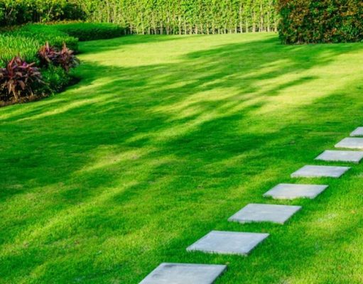 ¿Cuál es el mejor momento para plantar césped? es-la-epoca-aproveche-para-plantar-cesped-nuevo-5763-mainImage-0