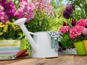 ¿Cómo cultivar plantas en espacios reducidos?