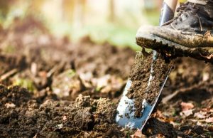 ¡Este es la época! Prepare y cave el suelo Revista Selecciones