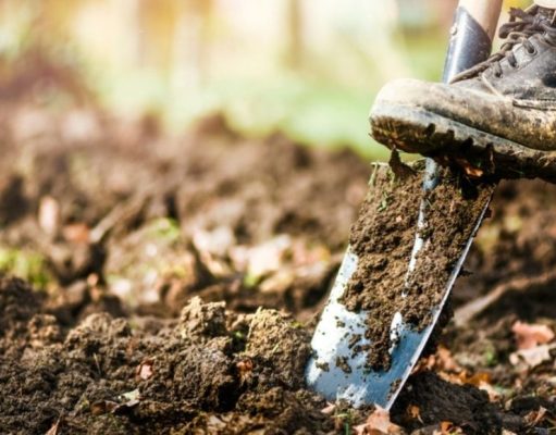 ¡Este es la época! Prepare y cave el suelo