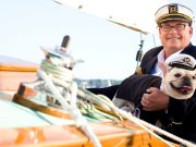 Estilo de vida y mascotas: cómo elegir un compañero perruno