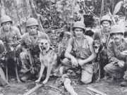 Estos perros lucharon codo a codo con el ejército estadounidense
