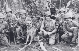 Estos perros lucharon codo a codo con el ejército estadounidense Revista Selecciones