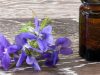 Guía completa sobre las Flores de Bach Revista Selecciones
