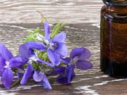 Guía completa sobre las Flores de Bach