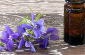 Guía completa sobre las Flores de Bach Revista Selecciones