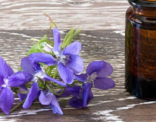 Guía completa sobre las Flores de Bach