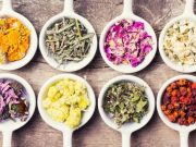 Hierbas medicinales: aliadas en el alivio de malestares