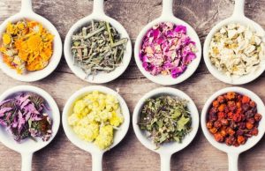 Hierbas medicinales: aliadas en el alivio de malestares Revista Selecciones