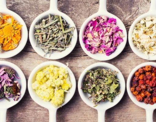 Hierbas medicinales: aliadas en el alivio de malestares