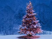 Historias familiares de Navidad