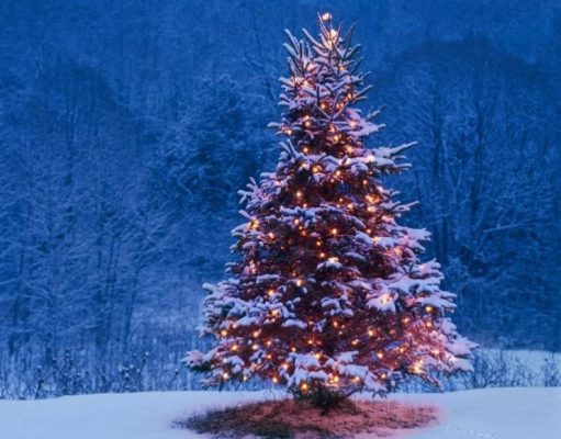 Historias familiares de Navidad