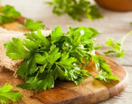 Huerta en casa: ¿cómo plantar perejil?