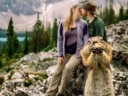 Humor: fotos arruinadas realmente graciosas