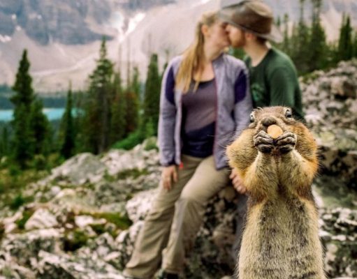 Humor: fotos arruinadas realmente graciosas