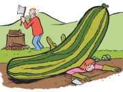 Humor: pareja descubre que la vida en el campo no es sencilla