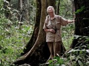 Jane Goodall y sus razones para sentirse optimista